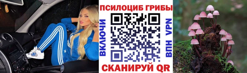 гидра рабочий сайт  Кувшиново  Псилоцибиновые грибы мицелий  как найти наркотики 